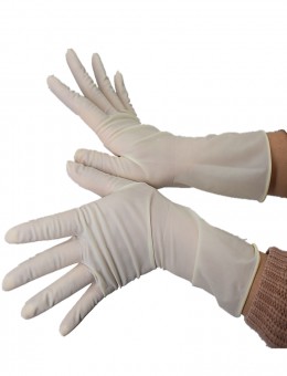 High Quality Latex Surgical Sterile Gloves Latex Surgical Hand Gloves