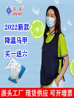 紫羲2022新款降温马甲 高温作业马甲 吸湿排汗 降温背心