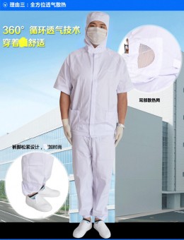 紫羲ZXFH.NET食品厂分体短袖工作服