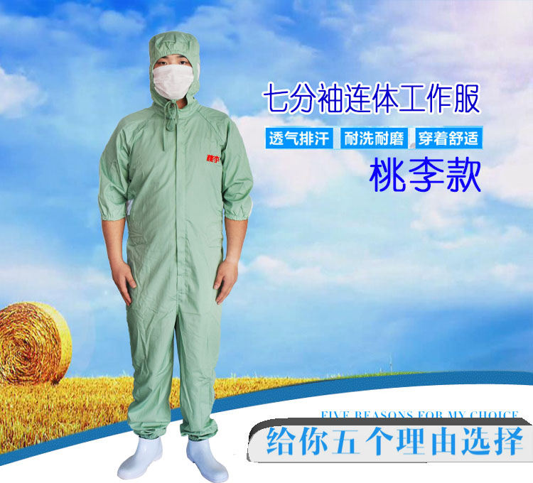 紫羲桃李豆绿色七分袖连体服